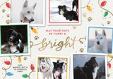 Photo Card, 5x7, thumbnail image