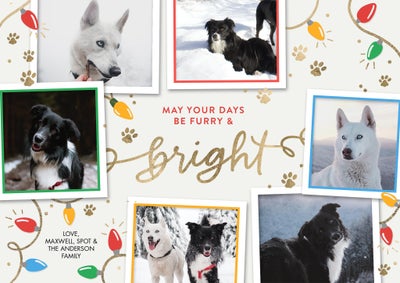 Christmas Furry and Bright Photo Card, 5x7
