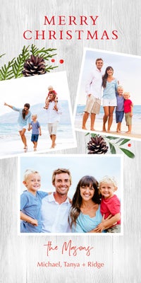 Winter Greens Photo Card, Square, 4x8