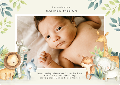 Baby Safari Animals Photo Card, 5x7