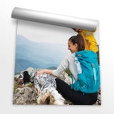 Poster Prints, thumbnail image