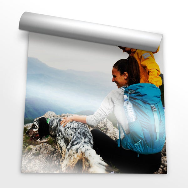 Poster Prints