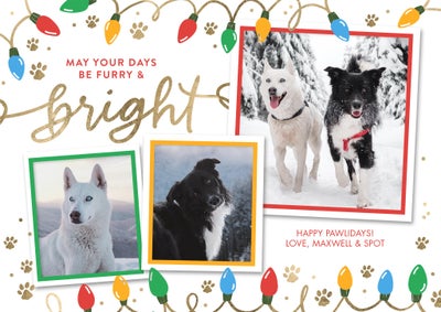 Christmas Furry and Bright Photo Card, 5x7