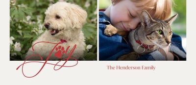 Pawfect Joy Can Cooler