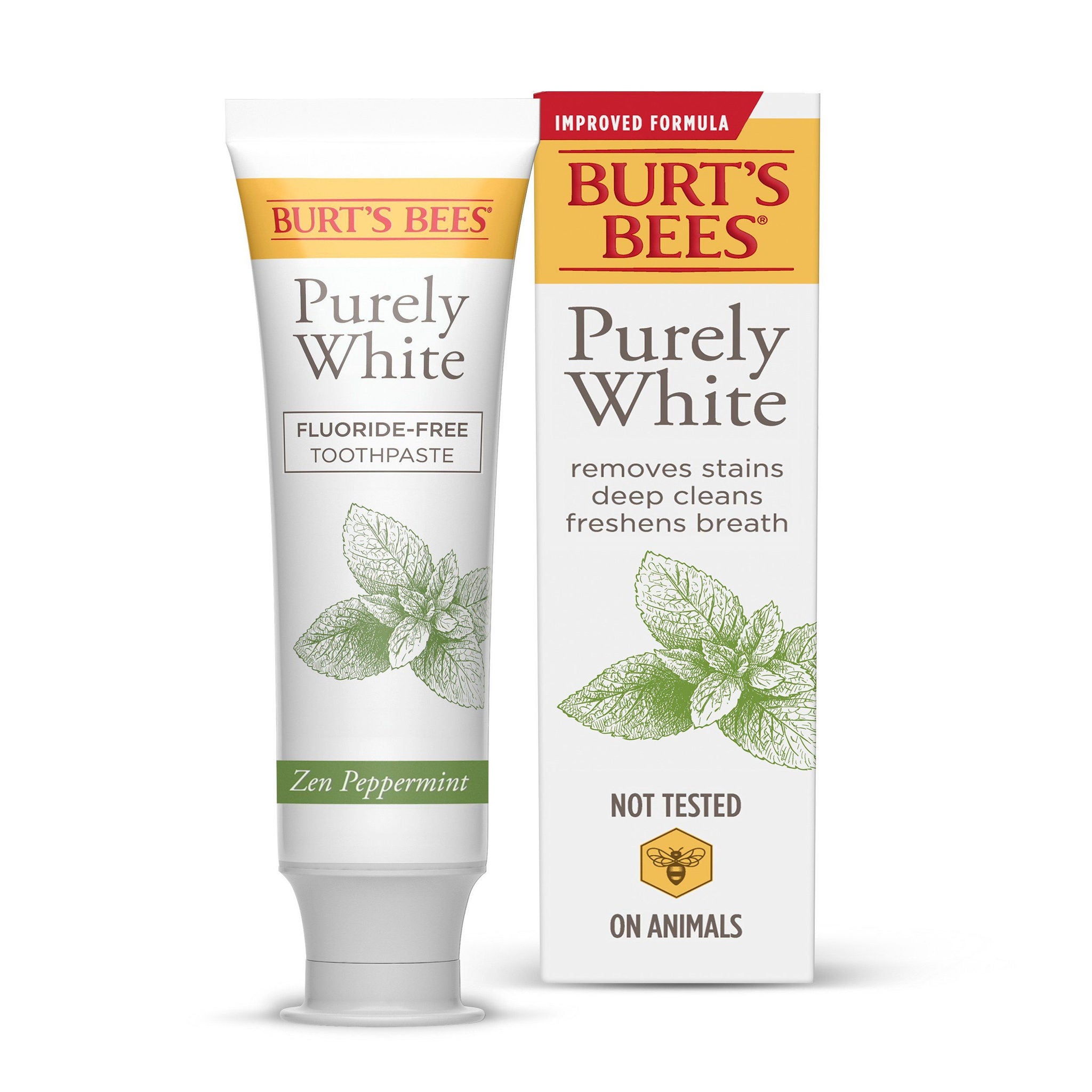 Burt's Bees Toothpaste, Natural Flavor, Fluoride-Free, Purely