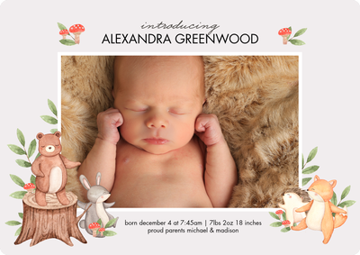 Baby Animals Photo Card, 5x7