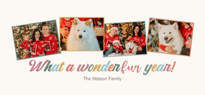 Wonderfur Year Mugs