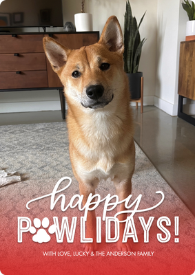 Holiday Paws Photo Card, 5x7